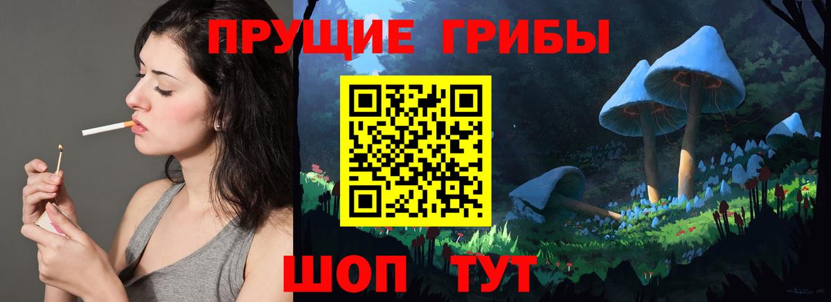 Пыть-Ях  Псилоцибиновые грибы Cubensis  Вход с VPN 